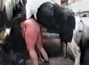 Mare is fucking a zoophile hard from behind
