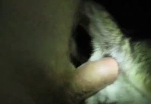 Doggy tight ass nicely fucked by a fat dick