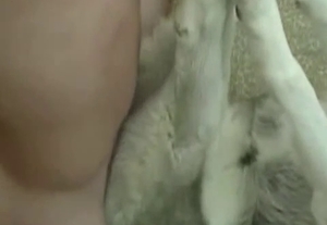 Handsome animal is having a really passionate bestial sex