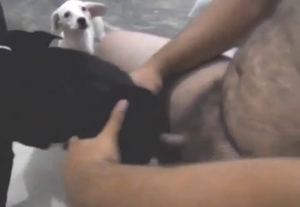 Tiny black puppy is plowed hard from behind