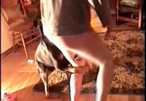 This male zoophile is using his ass to tease some animals