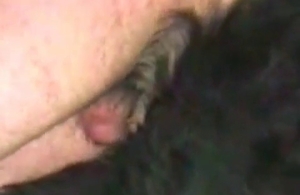 Dude and his own dog fuck in the doggy style pose