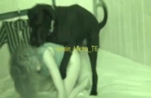 Redheaded slut is banging a lovely little dog