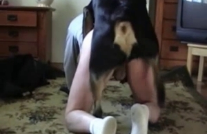 Black dog is having all sorts of incredible bestiality fun