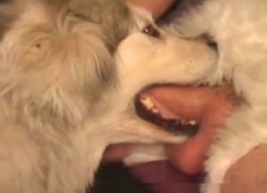 Dude throating his submissive dog