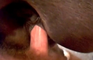 He's gaping that tight animal cunt