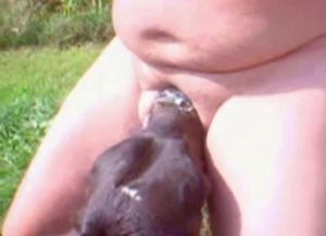 Passionate doggy licks her wide-opened pussy