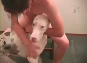 Exploring this hot, spotted beast