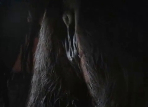 Doggy-style fucking with a muscled horse