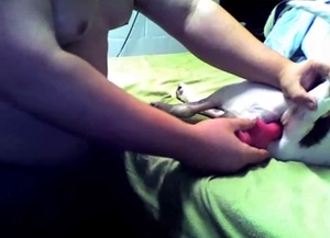 Male fucked his amazing doggy with love