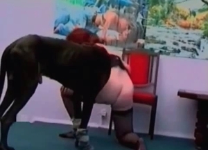 Impressive homemade bestial porn