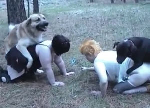 MILFs have sex with two lusty dogs