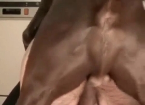 Brown dog drilling that tight hole