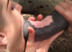 Blonde obviously loves sucking horse cocks