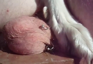 That dick might not be the prettiest