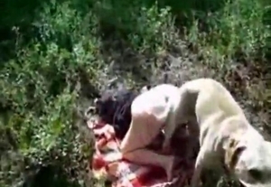 Pale-ass amateur getting fucked hard