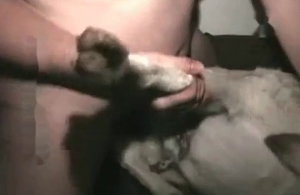 Fat zoophile fucking a sexy white animal