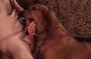 Handsome guy knows what his doggy wants