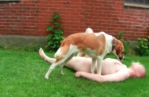 zoofiliasexpornmovies male new Bestiality Zoo Sex Porn page 1