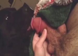 Hairy cock dude is going to have his dick licked