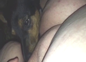 Dog is going to enjoy all kinds of loving here